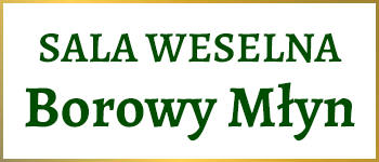 Borowy Młyn Sala Weselna logo
